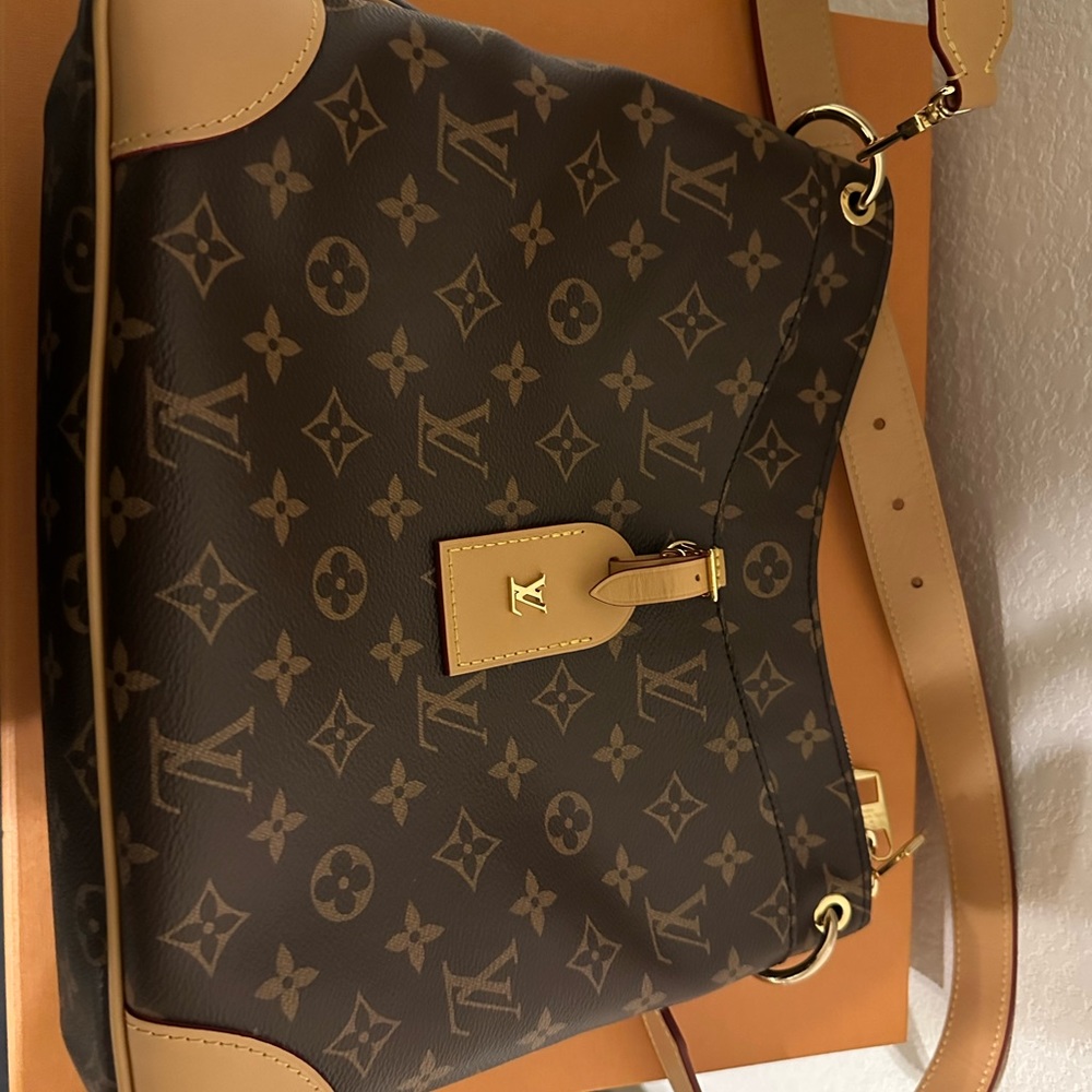 Louis Vuitton Monogram Canvas Odéon PM